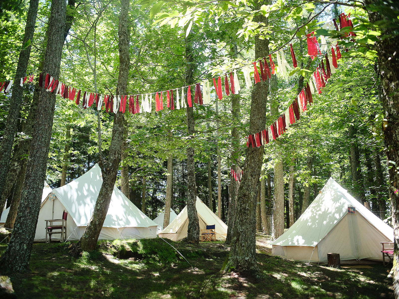 BOSCO GLAMPING